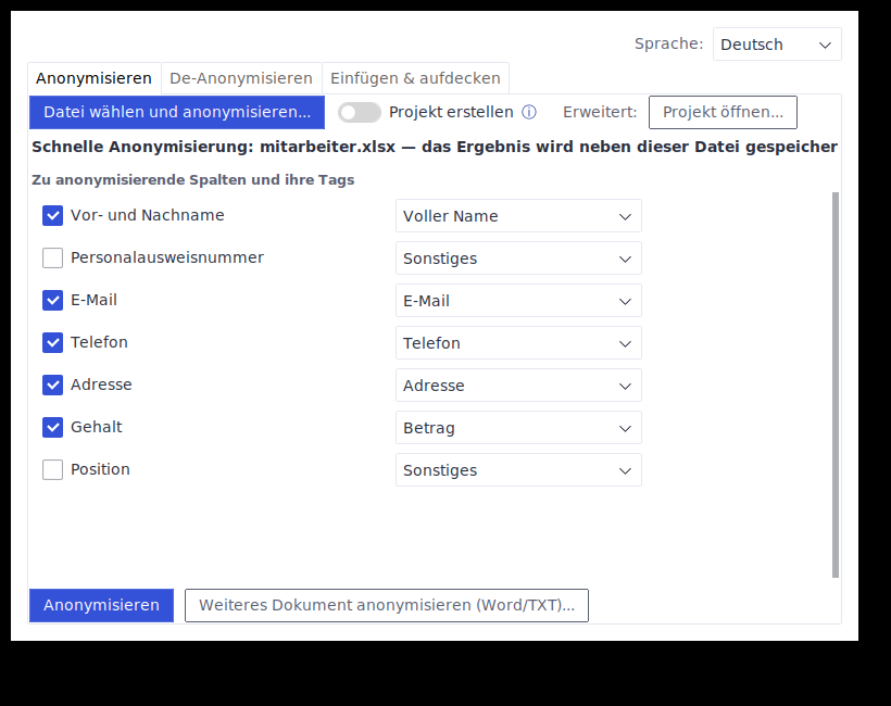 Der Tab Anonymisieren mit erkannten Spalten und Tags nach dem Laden einer Excel-Datei